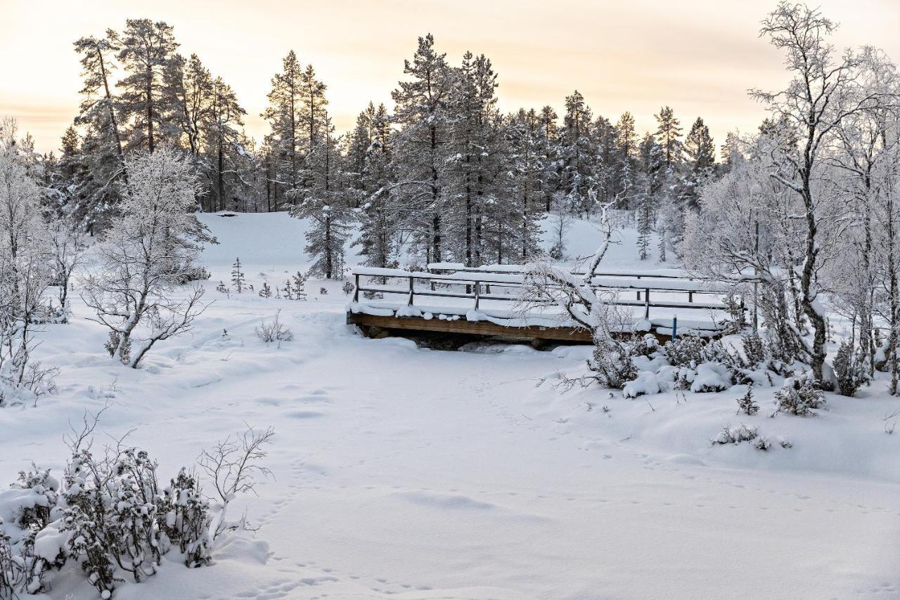 Polar Aurora Cabins ซาริเซลกา ภายนอก รูปภาพ